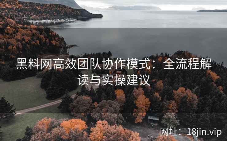 黑料网高效团队协作模式：全流程解读与实操建议
