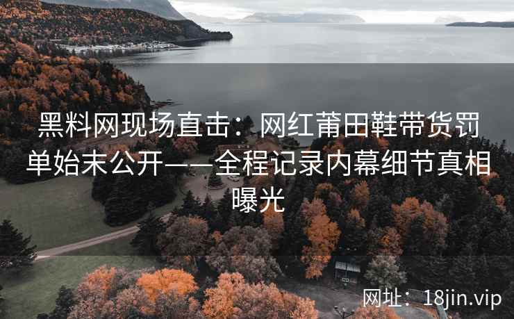 黑料网现场直击：网红莆田鞋带货罚单始末公开——全程记录内幕细节真相曝光