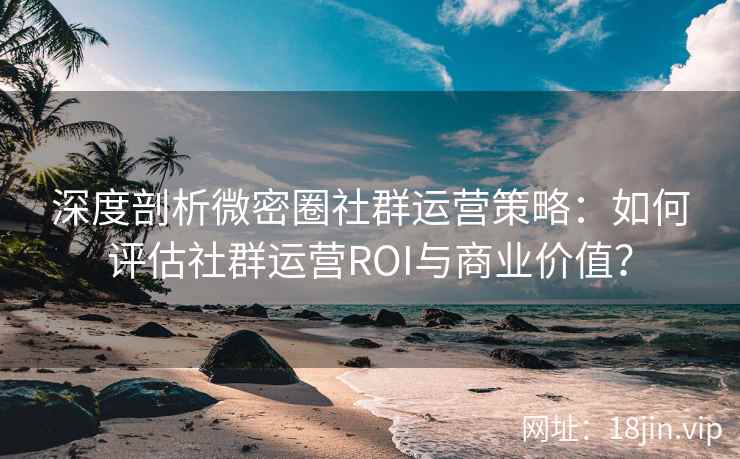 深度剖析微密圈社群运营策略：如何评估社群运营ROI与商业价值？