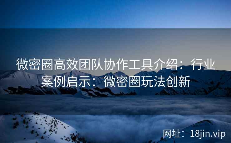 微密圈高效团队协作工具介绍：行业案例启示：微密圈玩法创新