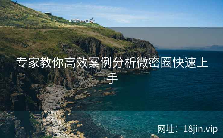 专家教你高效案例分析微密圈快速上手