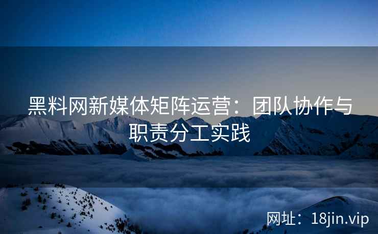黑料网新媒体矩阵运营：团队协作与职责分工实践