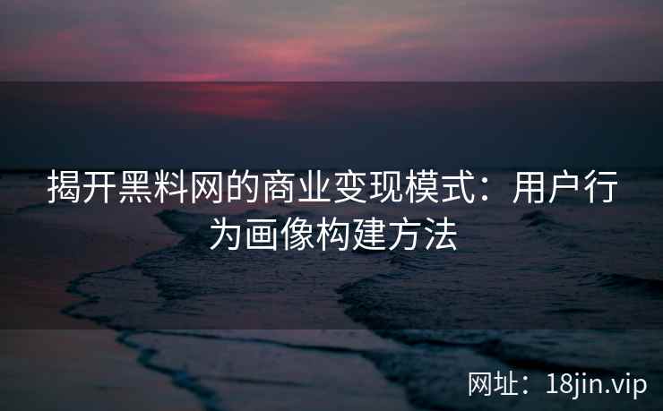 揭开黑料网的商业变现模式：用户行为画像构建方法